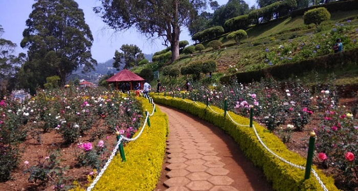 Ooty Tour Package